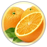 Dental Bright xylitol formula ingredient