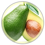 Dental Bright neem ingredient